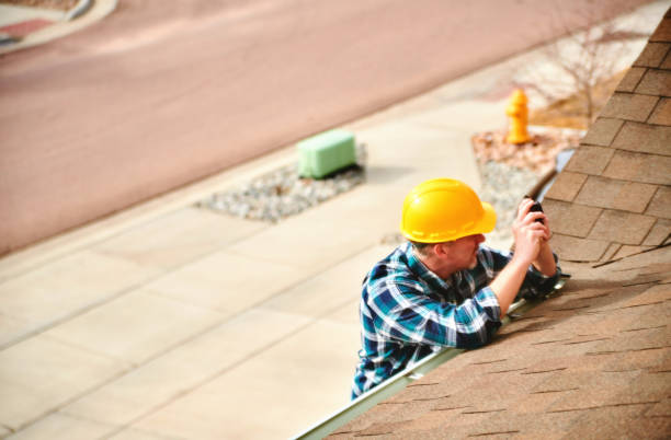 Best Roof Gutter Cleaning  in Halstead, KS