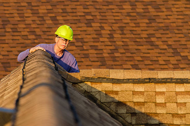 Best Sealant for Roof  in Halstead, KS